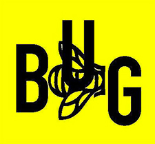 BUG – A Visionary Management